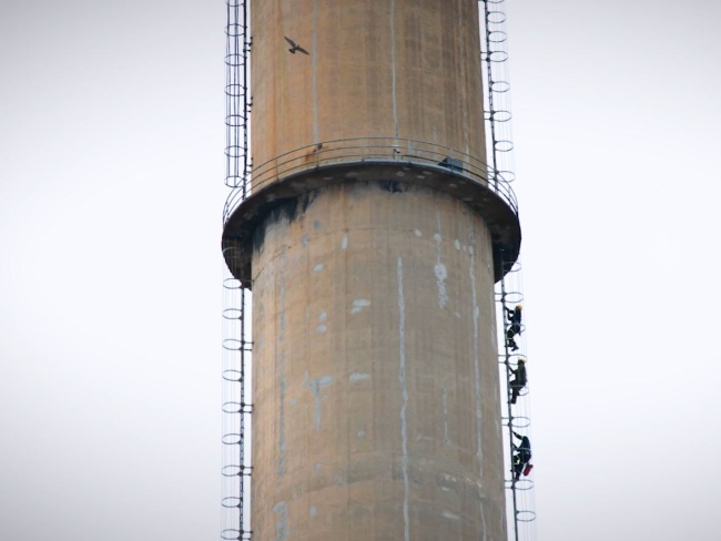 kroužkování sokolích mláďat kroužkování sokolích mláďat